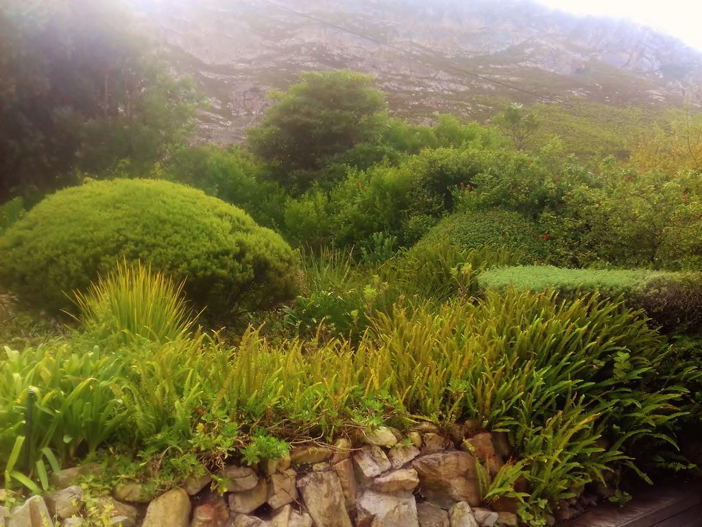 Whale Coast Villa Hermanus Exteriér fotografie